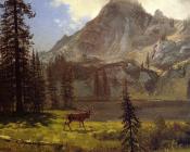 阿尔伯特 比尔施塔特 : Call of the Wild